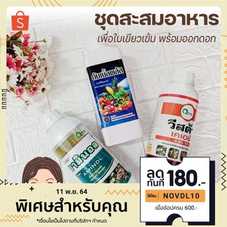 ชุดสะสมอาหาร 3 ขวด ดับเบิ้ลพลัส อามินอล วีสต้า 4-25-14