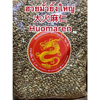 เมล็ดฮวยมั้วใหญ่ฮวยมั้วยิ้งใหญ่ 大火麻仁 Huomaren เม็ดฮวยมั้ว  ฮวยมั้วยิ้งใหญ่ Huomaren 火麻仁เมล็ดฮวยมั้วมี2ไซส์ใหญ่กับเล็ก