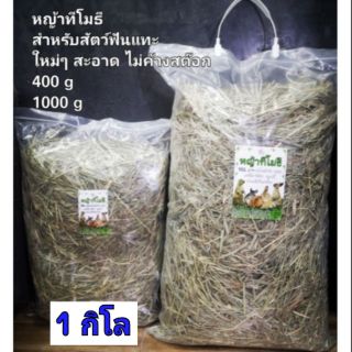 หญ้าทิโมธี (หญ้าทีโมธี)​ หญ้าใหม่ สะอาด กลิ่นหอม เกรดคัดพิเศษ (200กรัม-1กิโล)