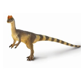 Safari Ltd. : SFR100508 โมเดลไดโนเสาร์ Dilophosaurus