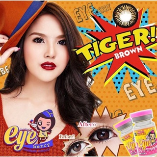 คอนเเทคเลนส์  สี Tiger brown