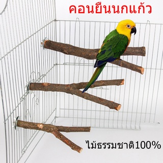 คอนลับเล็บ คอนนก คอนไม้ คอนติดกรงนก ทำจากไม้ธรรมชาติ100% คอนนกแก้ว  นกแก้วลับฟัน ของเล่นนก ยาว15ซม