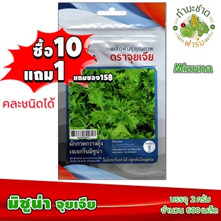 (ซื้อ10แถม1) เมล็ดพันธุ์ มิซูน่า Green Mizuna ประมาณ 600เมล็ด 3A สามเอ ผักสวนครัว เมล็ดพันธุ์พืช เมล็ดผัก เม็ดผัก พืชผัก