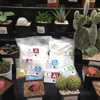 ปุ๋ย ABC for CACTUS สำหรับแคคตัสและไม้อวบน้ำทุกสายพันธุ์ ชนิดแห้ง ชุดขนาด 2 ลิตร ( A 2 ลิตร, B 2 ลิตร และ C 2 ลิตร)