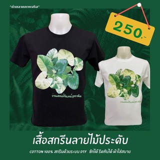 เสื้อยืด ว่านเสน่ห์จันทร์บุษราคัม ไม้ประดับ สุดฮิต ผ้า Cotton 100%