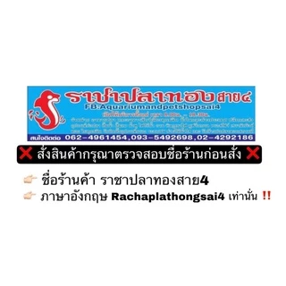 อาหารปลาคราฟ OPTIMUM Wheat germ สูตรบำรุงผิว ขนาด 7 กก.