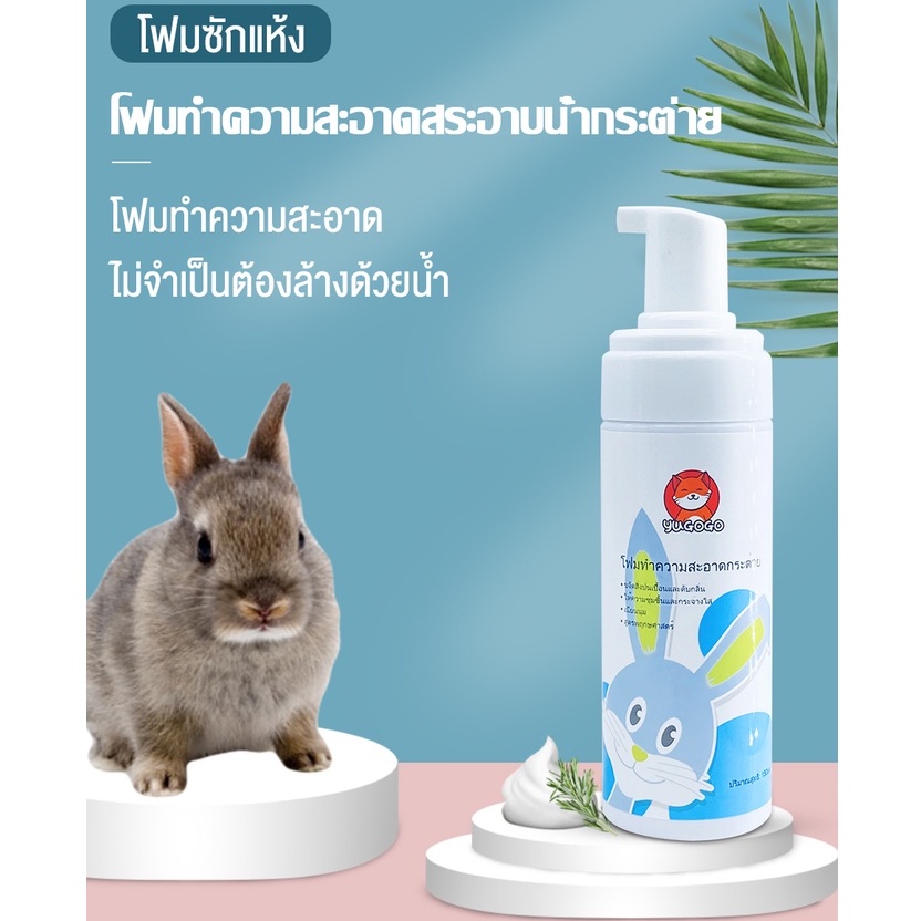 รูปภาพ 3