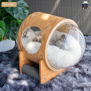 ที่นอนแมวแคปซูล ที่นอนแมวอะคริลิค space capsule cat nest