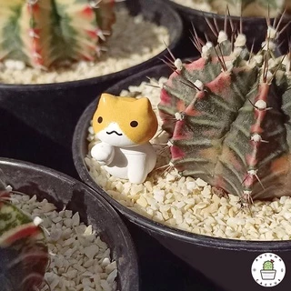 Meow..ตุ๊กตาน้องแมว 6 ชุด ตุ๊กตาชุดน้องแมว ตกแต่งสวน ตกแต่งโต๊ะทำงาน