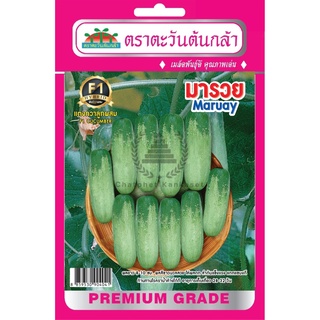 เมล็ดพันธุ์ แตงกวาลูกผสม มารวย 1.5 กรัม/ซอง ตราตะวันต้นกล้า