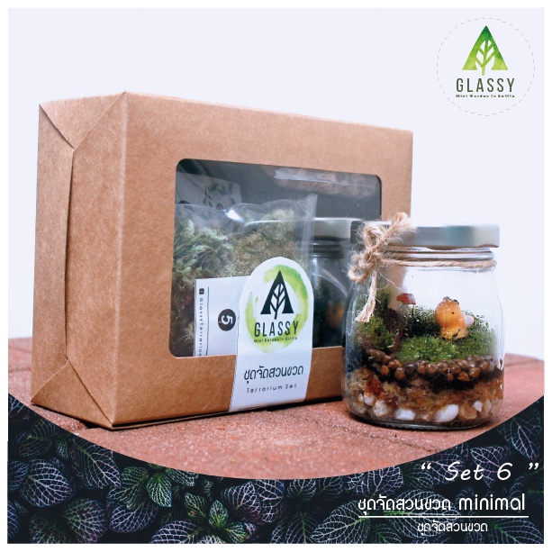 ชุดจัดสวนในขวดแก้ว Terrarium Set 6 Minimal ชุดจัดสวนขวด พร้อมส่ง