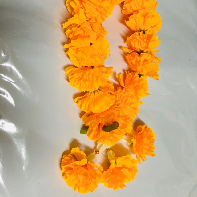 My Image 33
