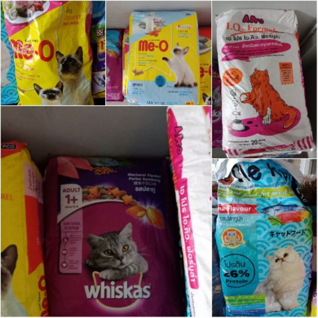 อาหารแมวราคาถูก | Shopee Thailand
