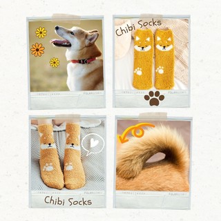 ถุงเท้าไอต๊าวตุ๊ตะ ⭐⭐⭐⭐⭐ ชิบะ เพนกวิ้นนนน Chibi Socks ของแท้ ฟรีไซส์