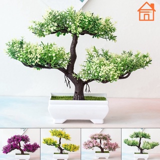 Artificial Potted Plants / Office Simulation Pine Tree / Green Pot Plant Ornaments