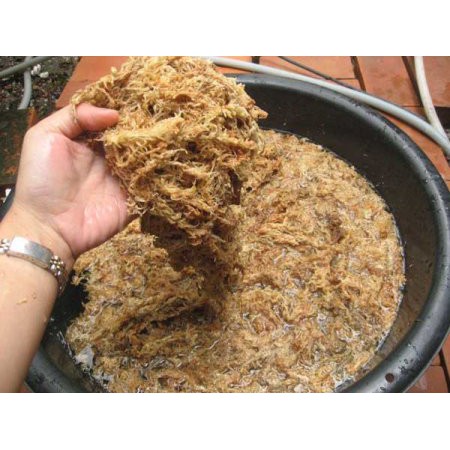 สแฟกนั่มมอส ชิลี 5 Kg. (Chilean Sphagnum Moss)สามารถพองตัวได้ถึง 240L. |  Shopee Thailand