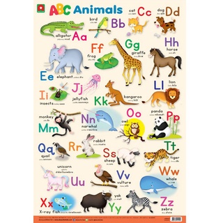 Aksara for kids โปสเตอร์ หุ้มพลาสติก ติดผนัง ABC Animals แบบใหม่