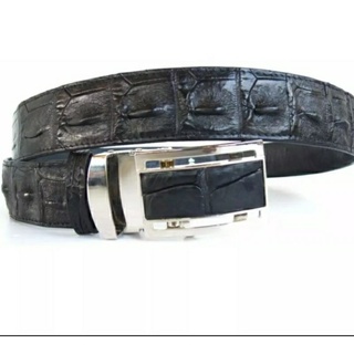 Crocodil belt 1.5 x 48 inche เข็มขัด