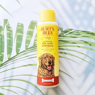 แชมพูอาบน้ำ สำหรับสุนัข Soothing Hot Spot Shampoo for Dogs with Apple Cider Vinegar &amp; Aloe Vera 473 ml  (Burts Bees®) ลดอาการแสบร้อน