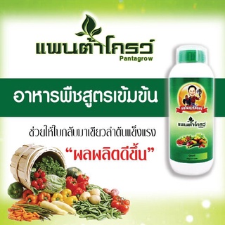 ปุ๋ยน้ำขายดีอันดับ1 แพนต้าโกรว์ พ่อใหญ่สัมฤทธิ์ ปุ๋ยทางใบ 500 ml สูตรเข้มข้น บำรุงพืชทุกชนิด ของแท้100%