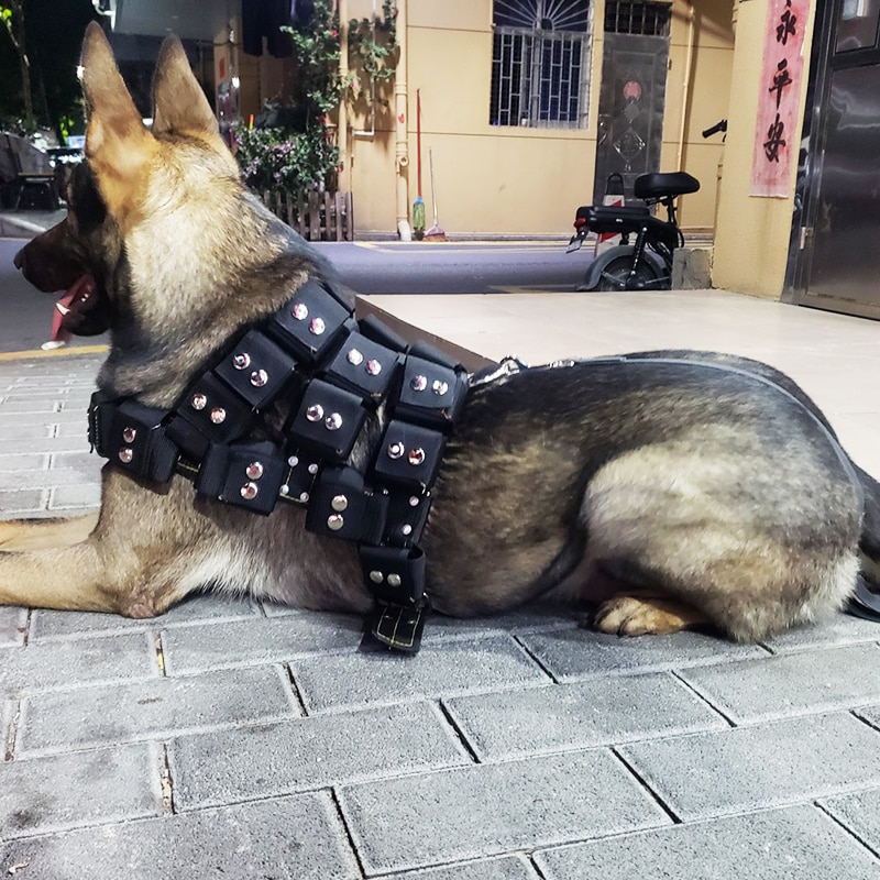 weighted dog vest