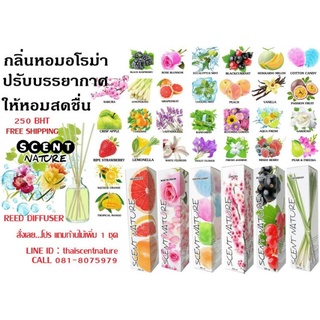 เซนต์เนเจอร์ ก้านไม้หอมอโรม่า  ขนาด 50 มิล (มีให้เลือก 12 กลิ่น)