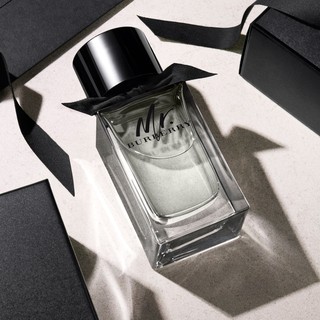 Burberry Mr. Burberry EDT 100 ml