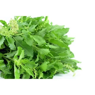 ง่วนสูน ใบกะเพราป่น 40 g Ground Holy Basil Leaf