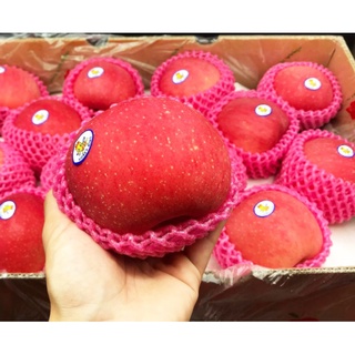 TOP-1แอปเปิ้ลฟูจิ (1ลูก/ไซส์JUMBO) APPLE FUJI (CHN) ~ลดพิเศษ~ ลูกใหญ่ผลไม้พรีเมี่ยม นำเข้าผลไม้สด แอปเปิ้ลสด