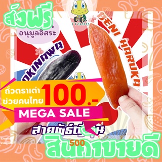 [ลด25% โค๊ต25CCB99] มันหนึบ มันม่วง มันหนึบญี่ปุ่น =500 กรัม= มันญี่ปุ่น [พร้อมทาน] เกรดAAA การันตรีความอร่อย tts888