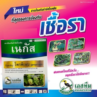 เดซี่,เนกัส #โพรพิเนบ ป้องกัน กำจัด ช่อดำ ใบจุด แอนแทรคโนส  1 กิโลกรัม