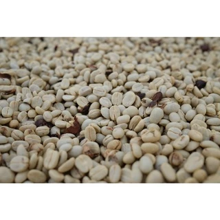 CR เมล็ดกาแฟคั่วกลางค่อนเข้ม Full City+ Roast ขนาด 500 กรัม จากจังหวัดเชียงราย คั่วใหม่ทุกวัน