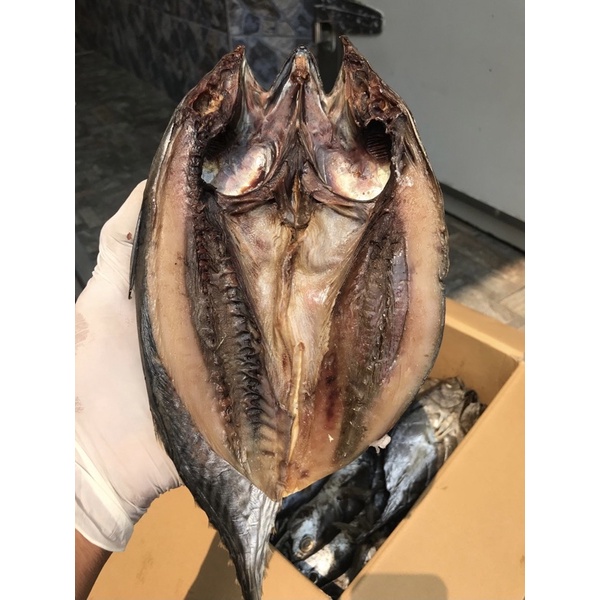 ปลาโอ เนื้อปลาสดสะอาดน่ารับประทาน (1 กิโลกรัม)
