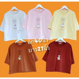 เสื้อยืด สรีนลายแมว 5สี