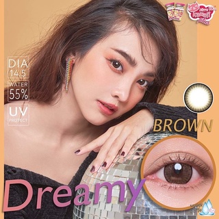 คอนแทคเลนส์ ค่าสายตา Dreamy Brown -4.25 , Little Chimmer Gray -4.00