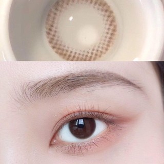 (1pair)(Nov. 18)Cherish Series,Clamido Brand,14.0mm,(power0.0-7.0),Contact Lens yearly use(coffee)