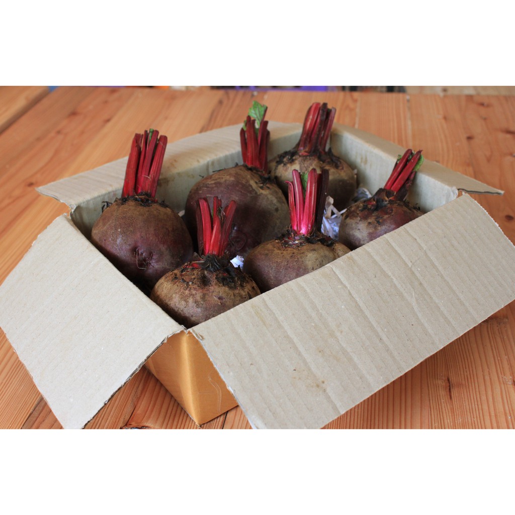 (พร้อมส่ง)บีทรูทนำเข้า สด ใหม่ทุกวัน  สีสดมากก ขนาด 1 KG ไม่แดงไม่ขาย