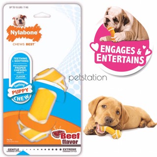 Nylabone Gentle Chew ของเล่นขัดฟัน Knot Bone