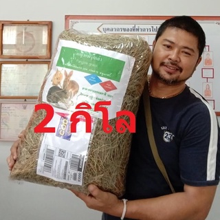 หญ้าแพงโกล่าร่อนฝุ่นสำหรับสัตว์เลี้ยงขนาดเล็ก#Pangola Dry Hay บรรจุ 2 กิโล