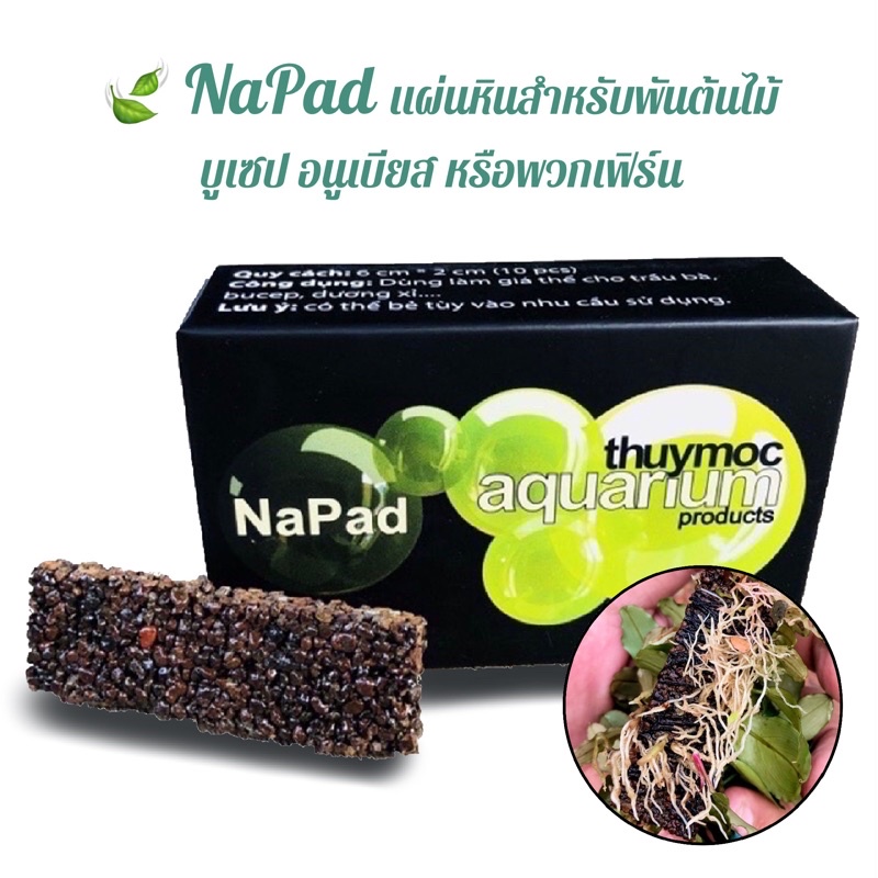 แผ่นหิน NaPad สำหรับพันต้นไม้น้ำ บูเซป Bucep อนูเบียส Anubias เฟิร์น Fern หรือไมยราบ แผ่นพันบูเซป