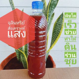 จุลินทรีย์สังเคราะห์แสงเข้มข้น 600 ml