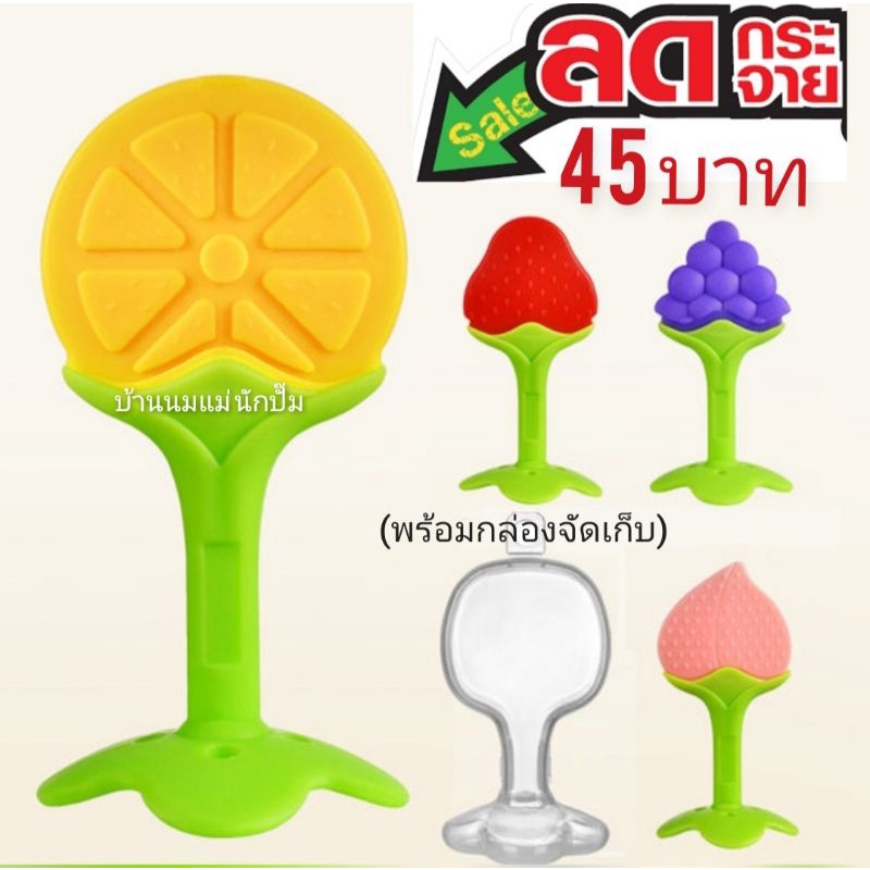 ยางกัดผลไม้พร้อมกล่องจัดเก็บ