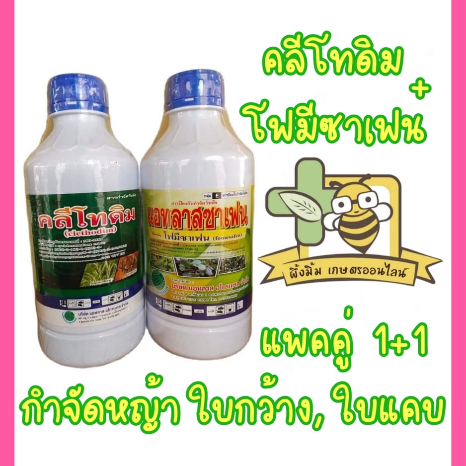 ชุดฆ่าหญ้าสุดคุ้ม ฉีดทับได้ ถั่วไม่ตาย ใบแคบและใบกว้าง