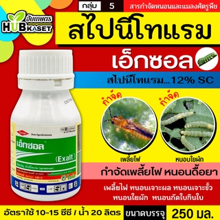 เอ็กซอล 250ซีซี (สไปนีโทแรม) กำจัดหนอน และเพลี้ยไฟได้เด็ดขาด ทั้งแบบถูกตัวตายและกินตาย