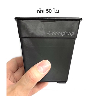 กระถางสี่เหลี่ยม ขนาด 3.5 นิ้ว แพ็ค 50 ใบ