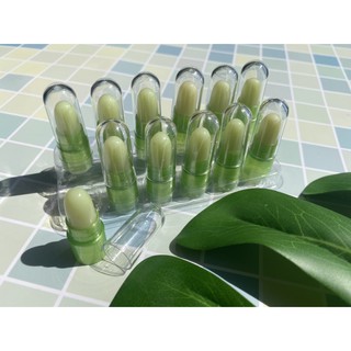 ลิปสติกจิ๋ว Aloe vera 12 แท่ง ยกกล่อง