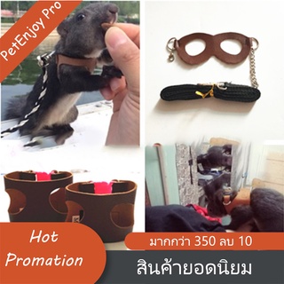 PetEnjoy Pro เชือกดึงกระรอก พิเศษสำหรับหนูสัตว์เลี้ยง