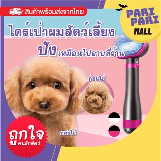 พร้อมส่ง ไดร์ขนสัตว์เลี้ยง แปรงขนสัตว์เลี้ยง Parsmarde ปรับได้3ระดับ ไดร์สัตว์เลี้ยง เป่า 2in1 อุณหภูมิคงที่สามความเร็ว