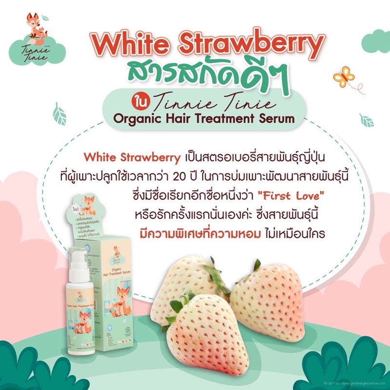 [ ล็อตใหม่ ส่งไว ] เซรั่มบำรุงผมเด็กออแกนิค ใช้ได้ตั้งแต่เด็กแรกเกิด ไม่ต้องล้างออก ผมไม่พันนุ่มลื่น ราคา ถูกที่สุด ดีลบีเคเค แกลเลอรีภาพที่ 7