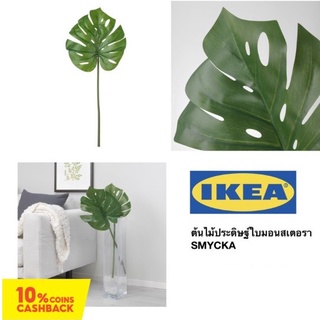 SMYCKA สมึคก้า ใบไม้ประดิษฐ์, ใบมอนสเตอรา/เขียว, 80 ซม.IKEA